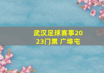 武汉足球赛事2023门票 广埠屯